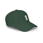 Hous Baseball Hat